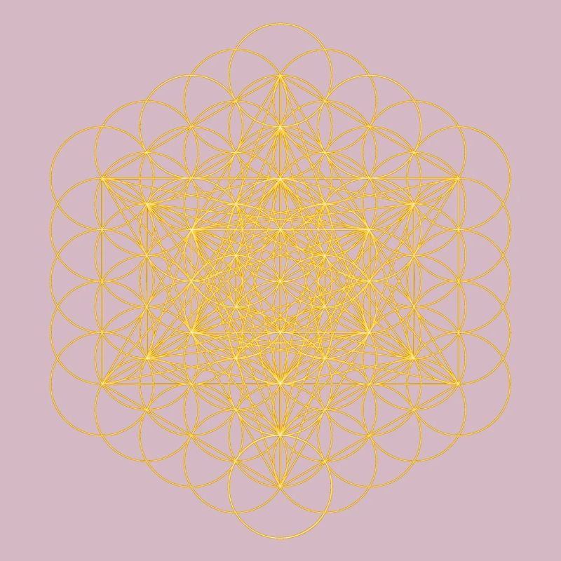 metatrons cube