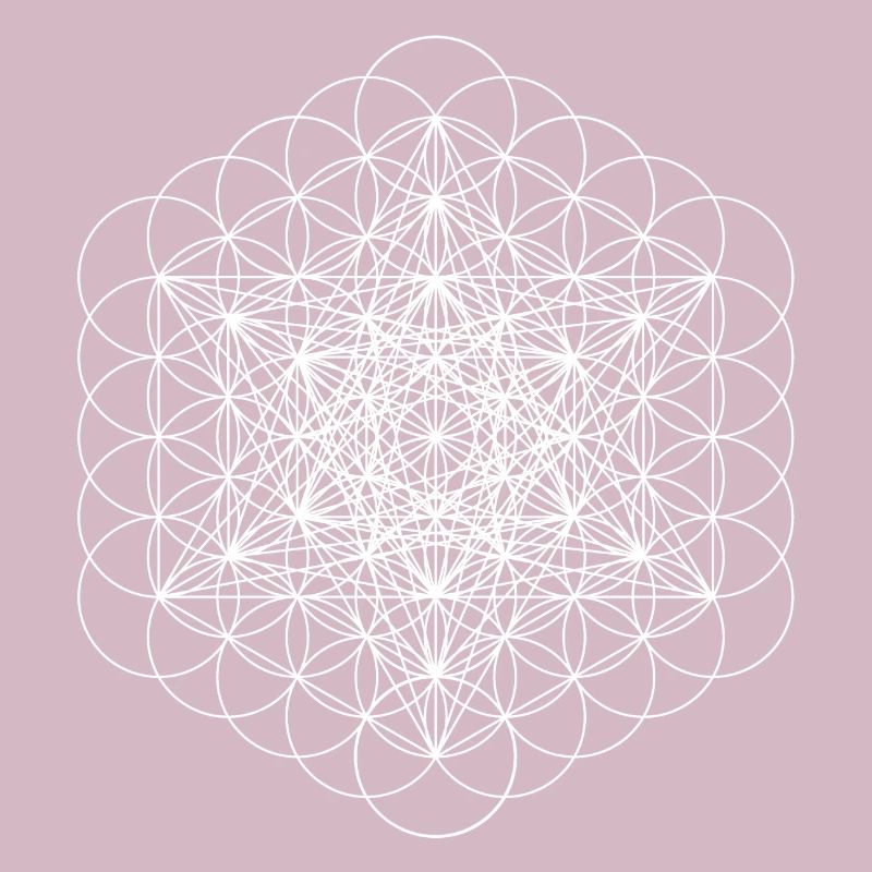 Metatrons blanc cube