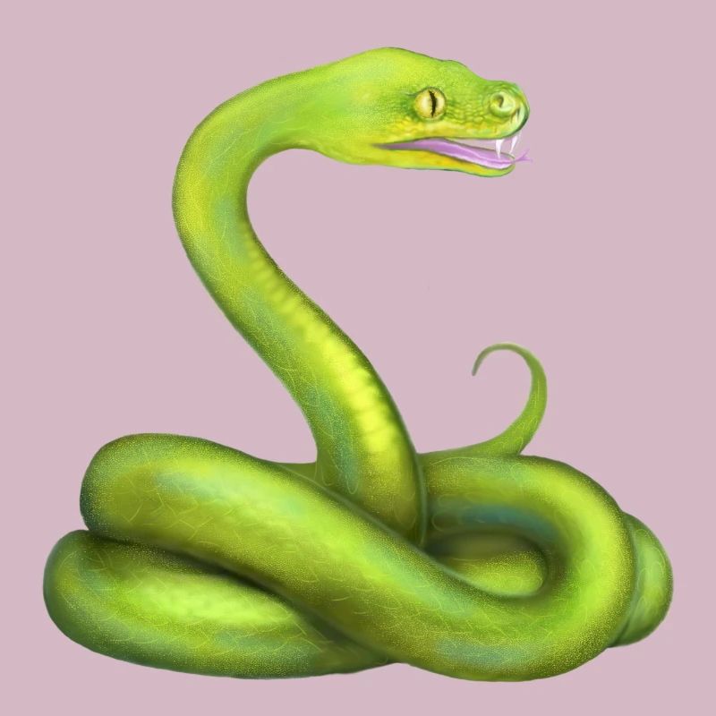 L’animal de la jungle du serpent python vert