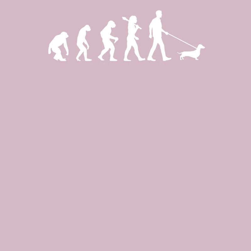 Evolution Of Dachdshund