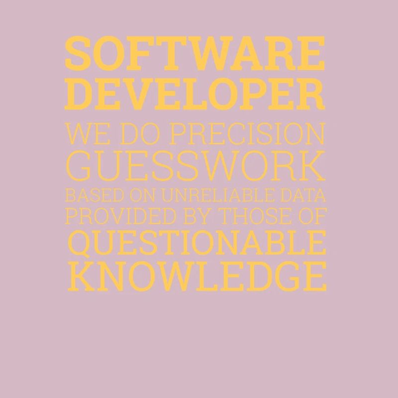 "Software Developer" | Programmierer