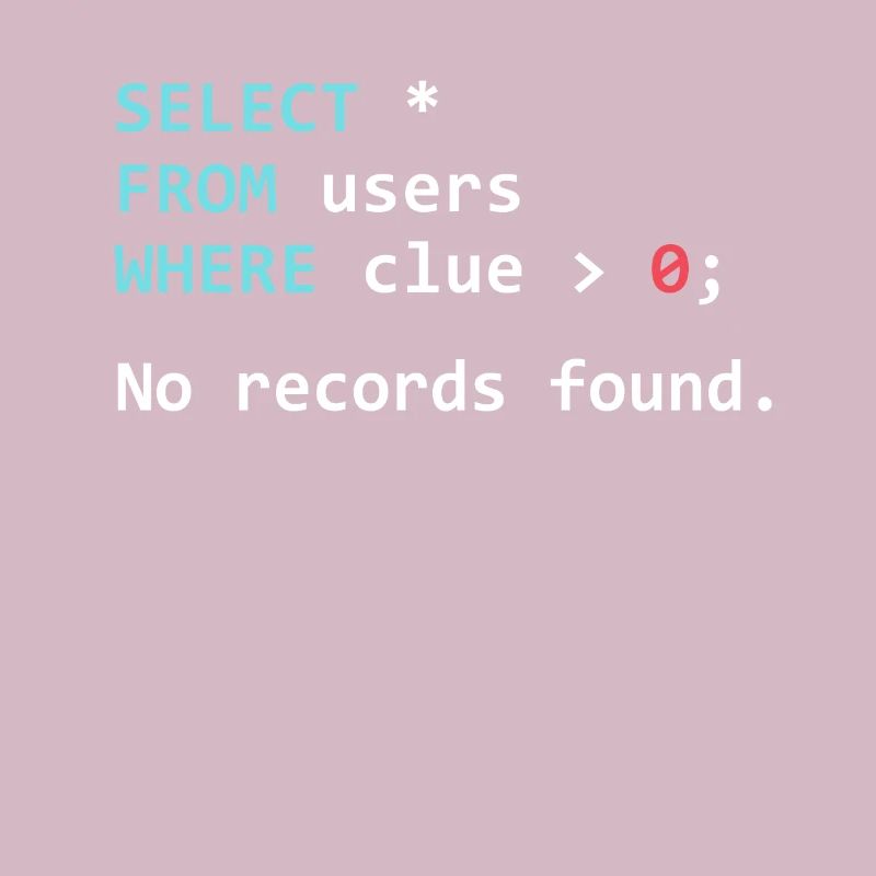 Drôle de programmeur Gift SQL Query