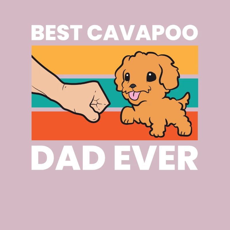 Cavapoo Hund Papa Cavoodle Bester Cavapoo Papa
