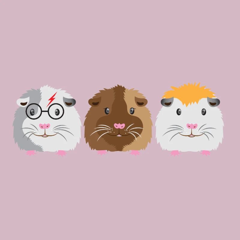 Trois petits cochons d'Inde