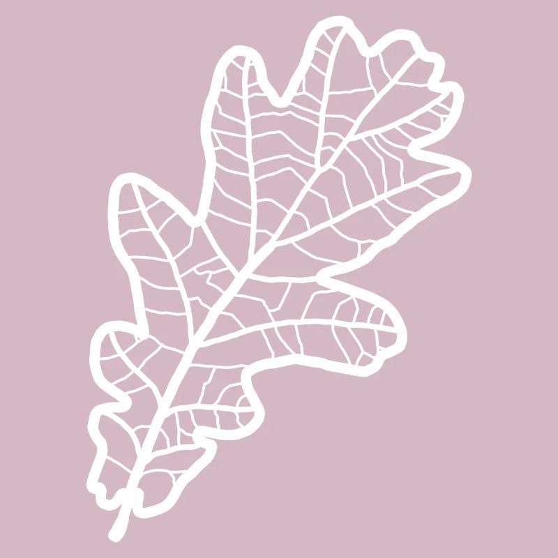 Eiche Eichenblatt Eichenlaub Eichen Oak Leaf Baum