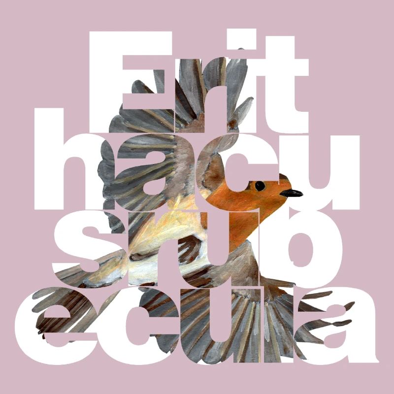 Erithacus rubecula - Rotkehlchen
