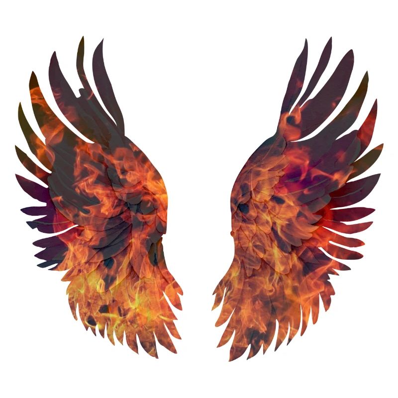 Bright Burning Wings