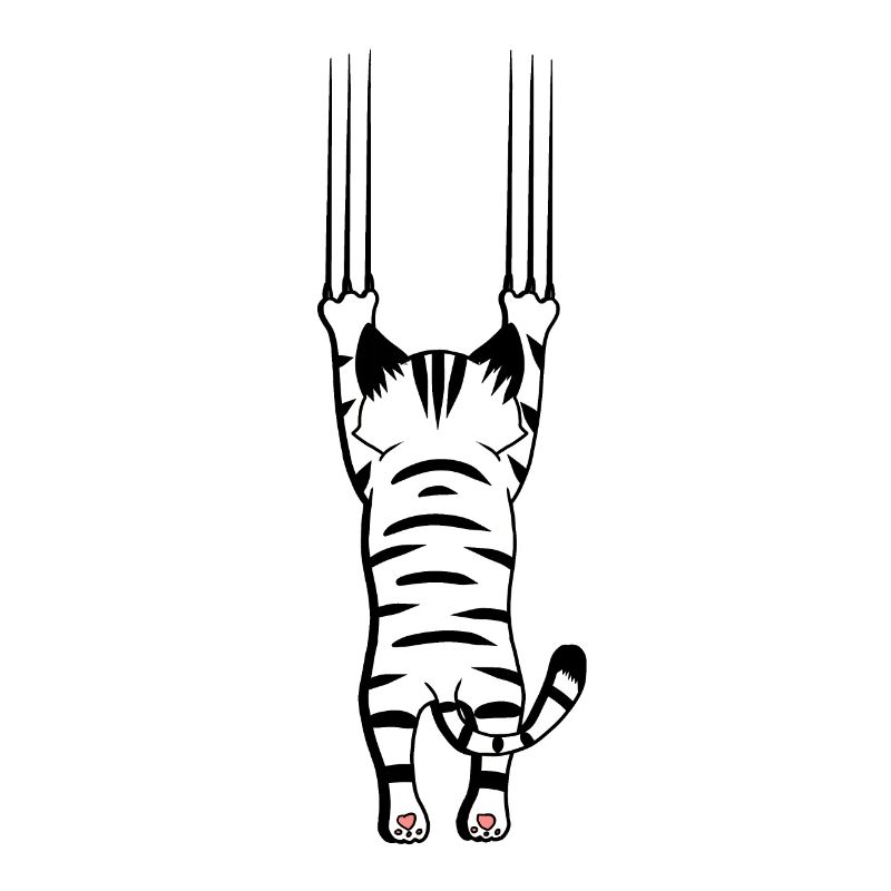 Chat Chats Griffes Amis animaux Animaux Noël