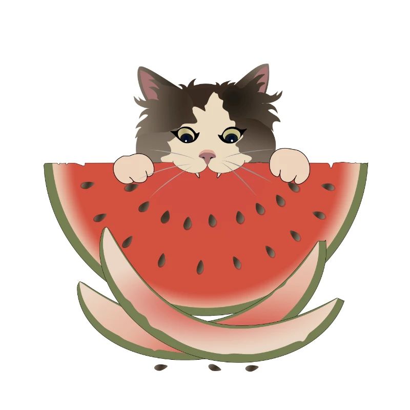 Wassermelone Delight Katze