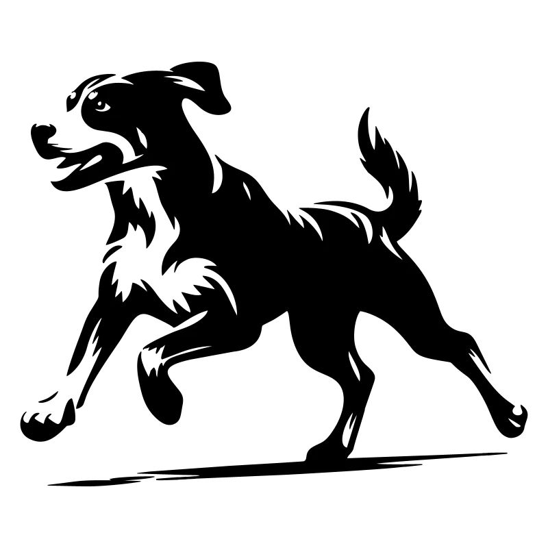 Entlebuch Mountain Dog