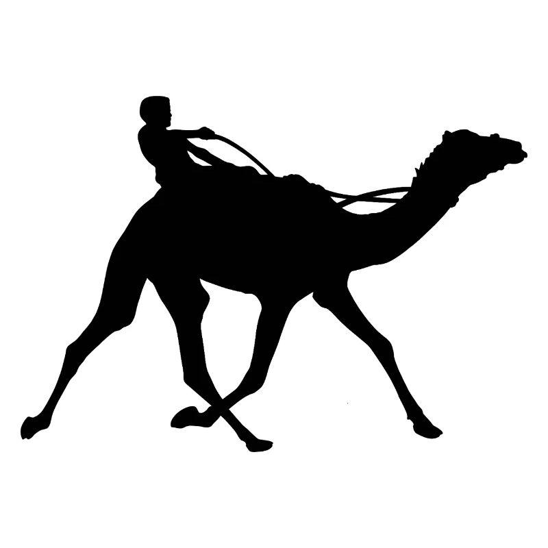 Course de chameaux