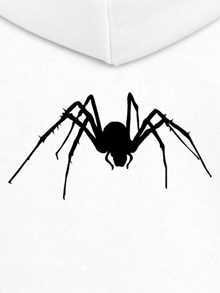 Spinne