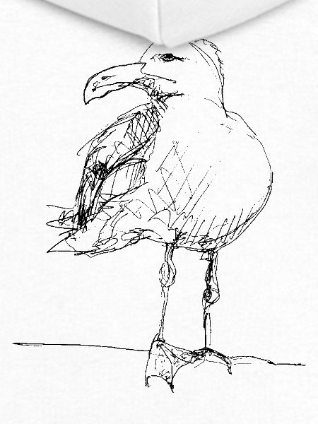 Möwe