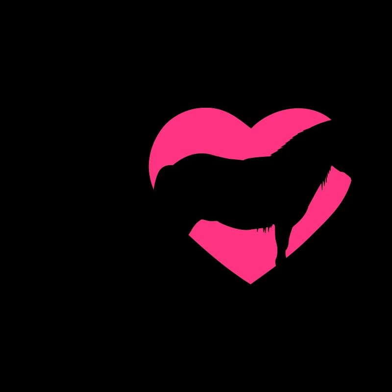 J'adore les poneys de Shetty