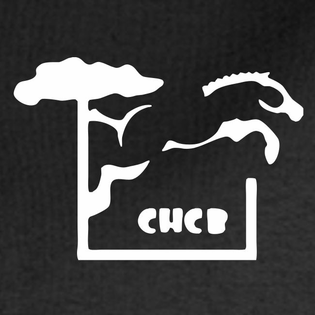 Club Hippique Côte Basque | RectoVerso