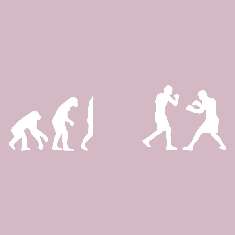 Evolution Boxing