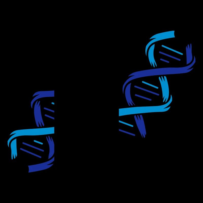 The structure of a DNA molecule