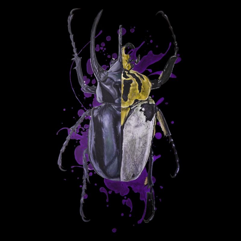 Coléoptère coléoptère insecte