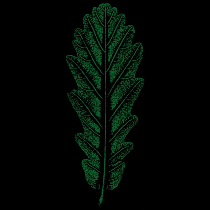 Oak - Leaf / Oak Leaf - PRINT