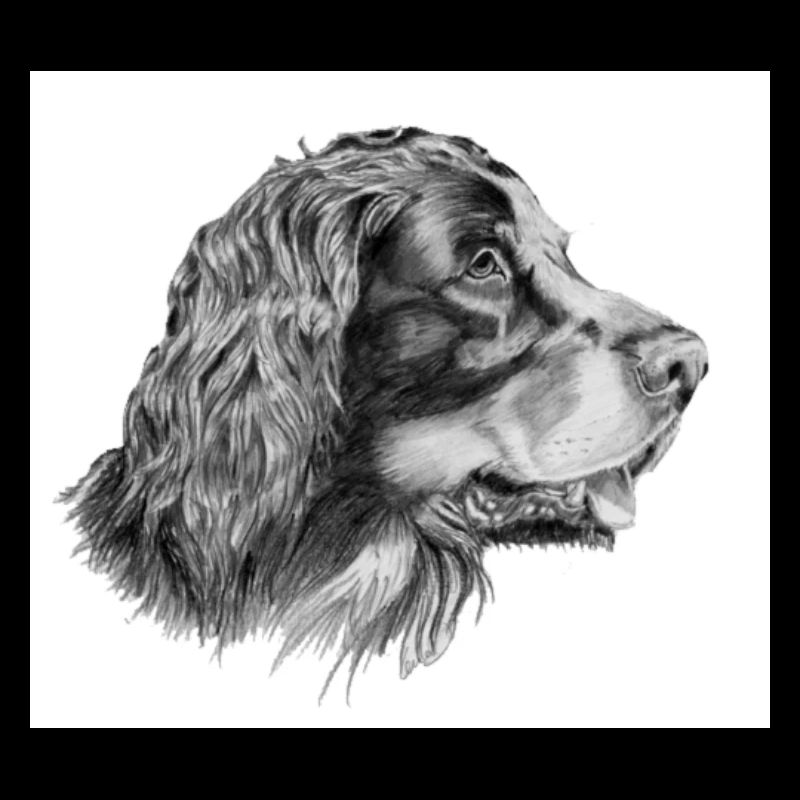 Autocollant Gordon setter