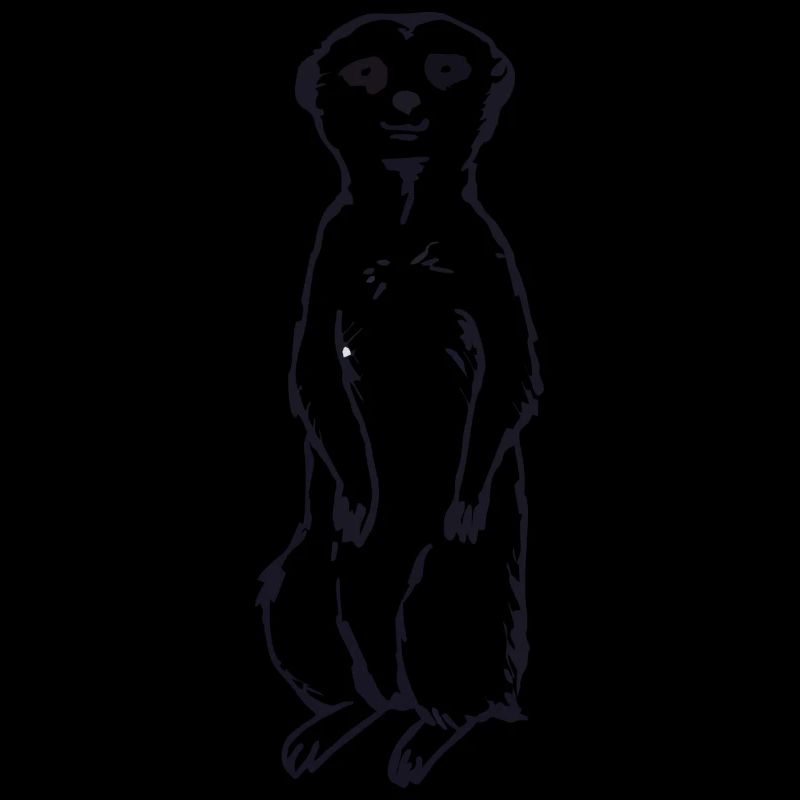 Idée cadeau bébé suricate