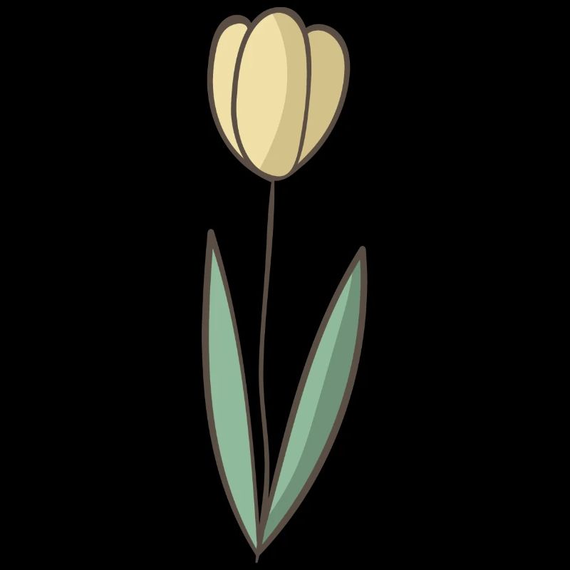 tulipe