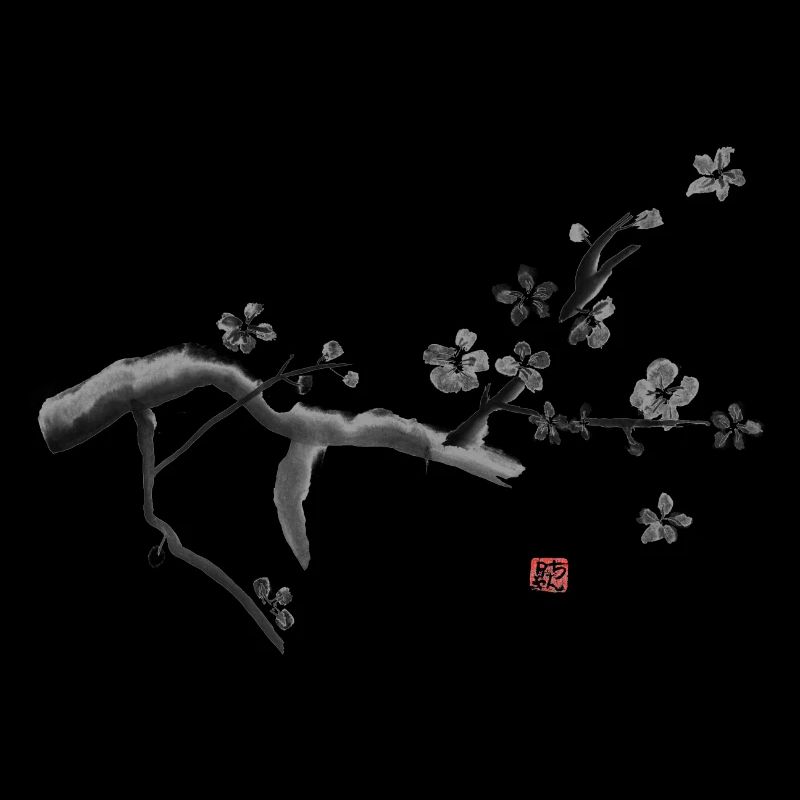 Sakura, Kirschblüten