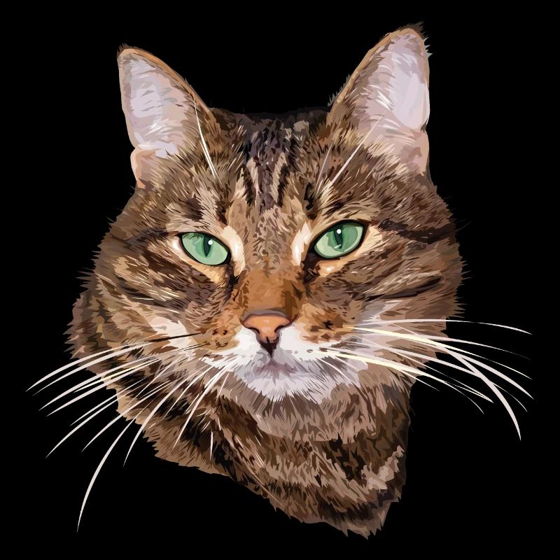 Katze