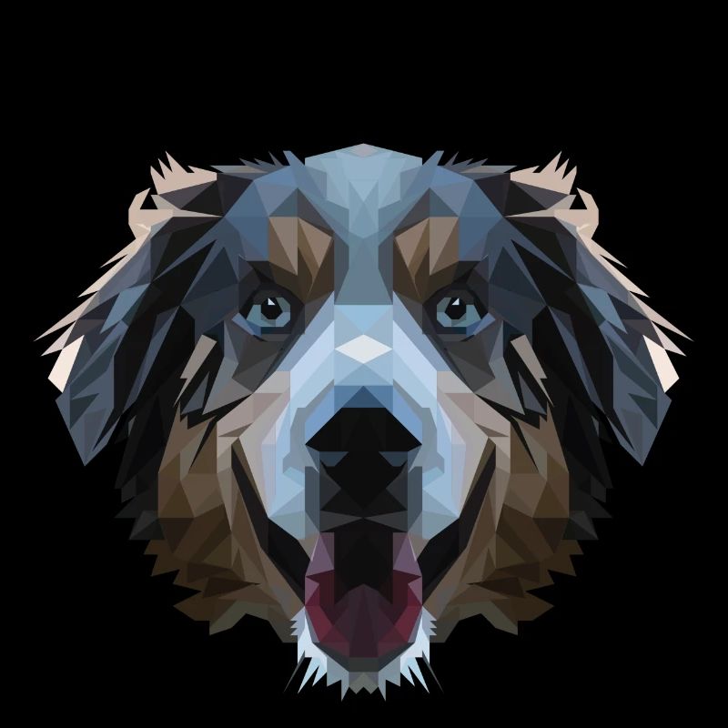 Aussie in polygon design - geometry