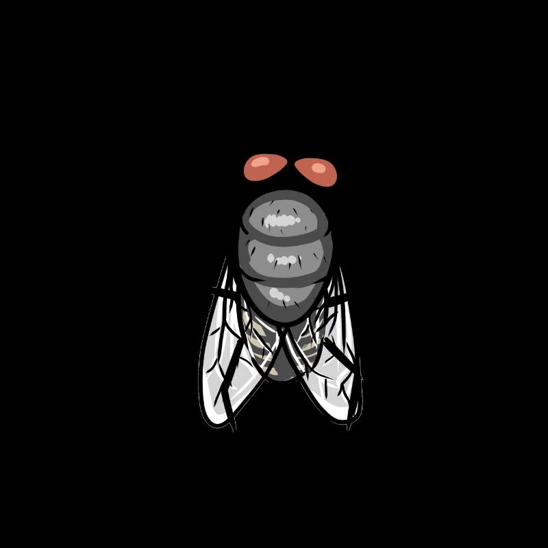 Fly Insects Animals