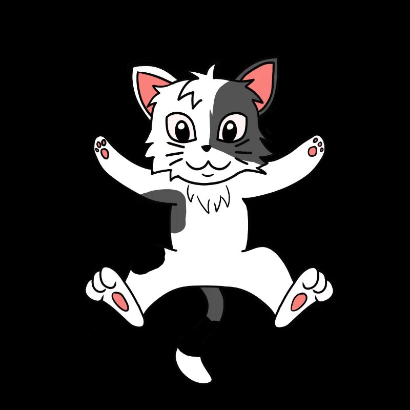 Kitten cat pets