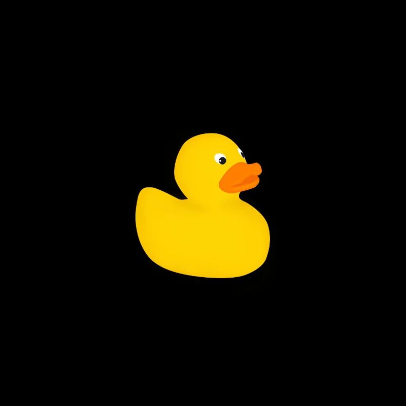 Programmeur canard en caoutchouc