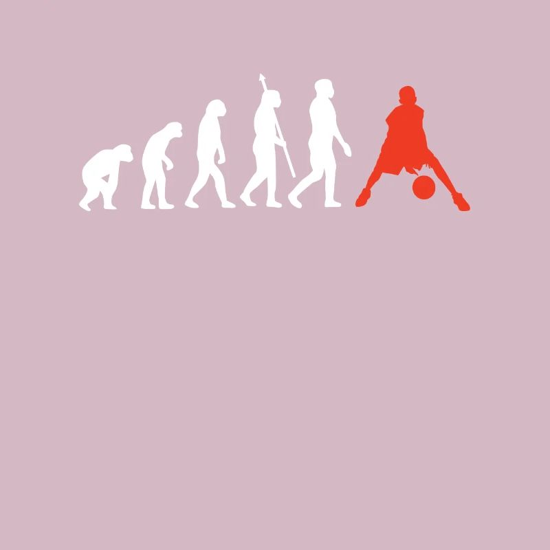 Basket basket-ball Evolution Conception de basket-ball