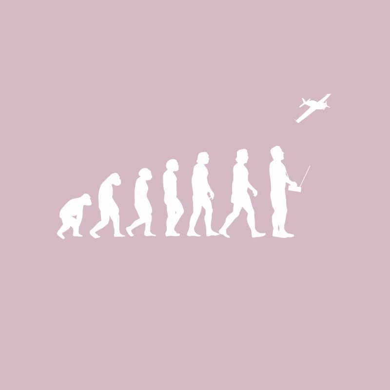 Avion modèle Modellflieger Evolution