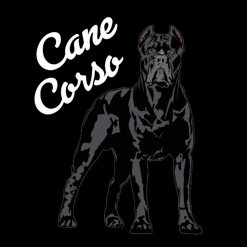 Cane Corso Molosser Mastiff Italian