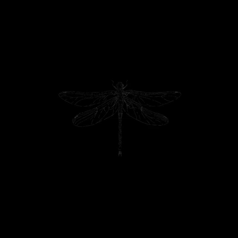 Libelle im Mond