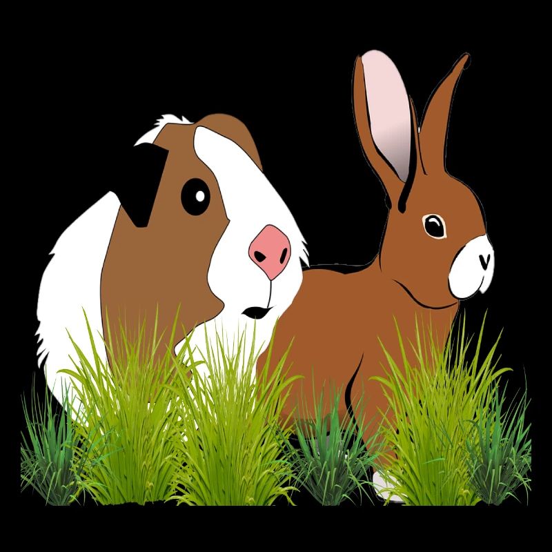 Cobaye lapin de conception