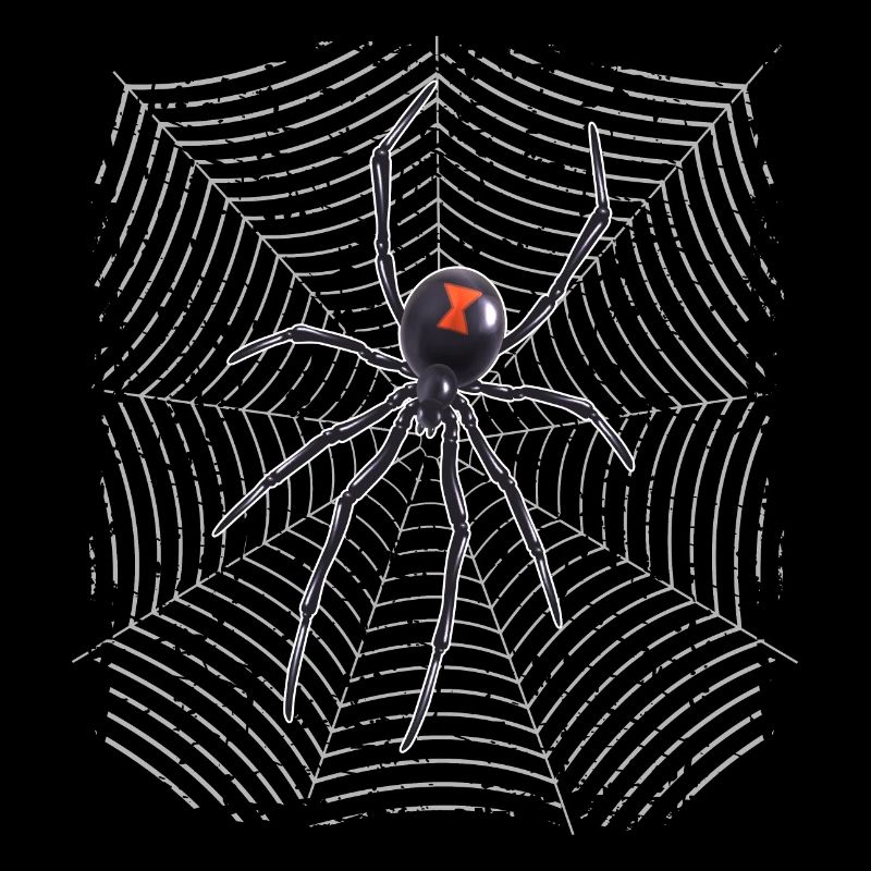 Araignée sur le web