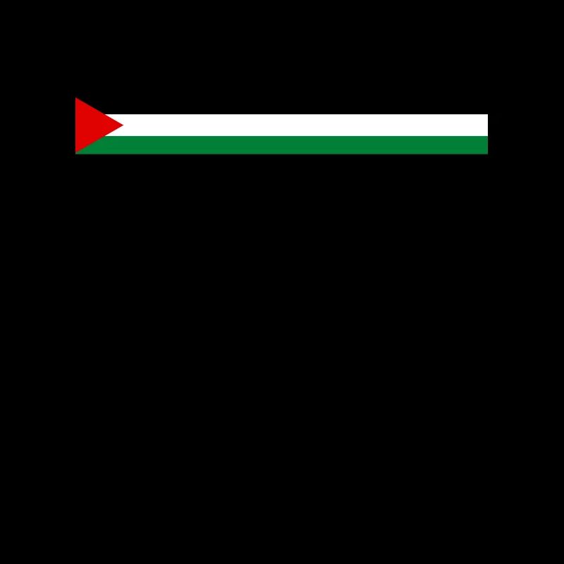 Drapeau de la Palestine - à travers