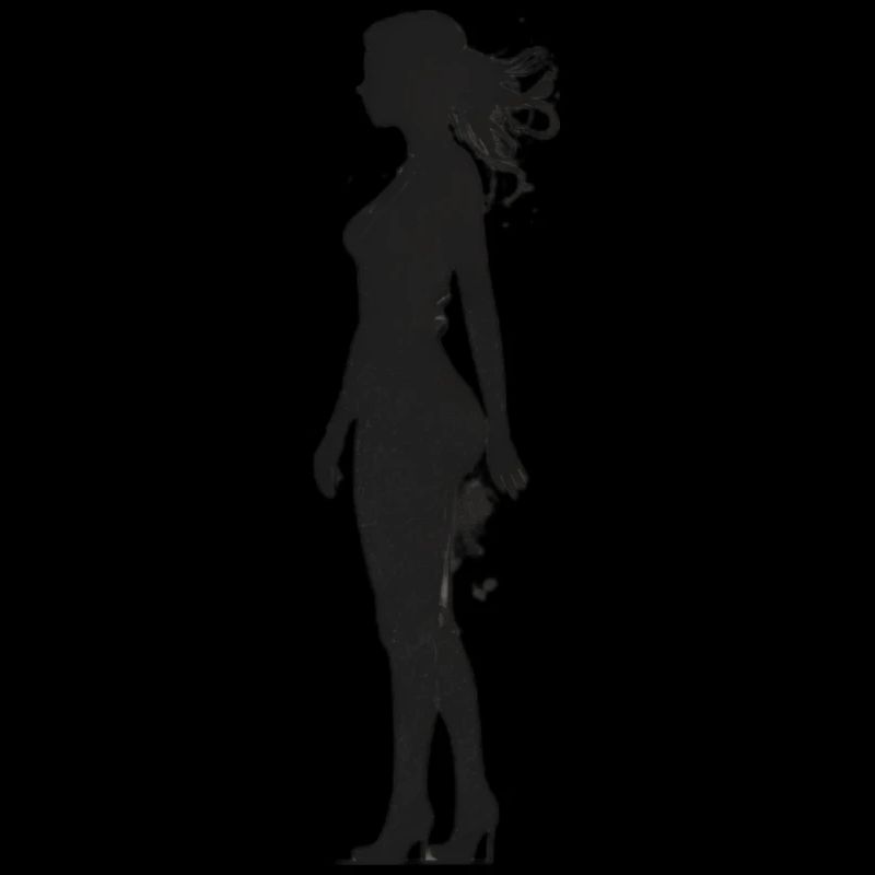 Silhouette