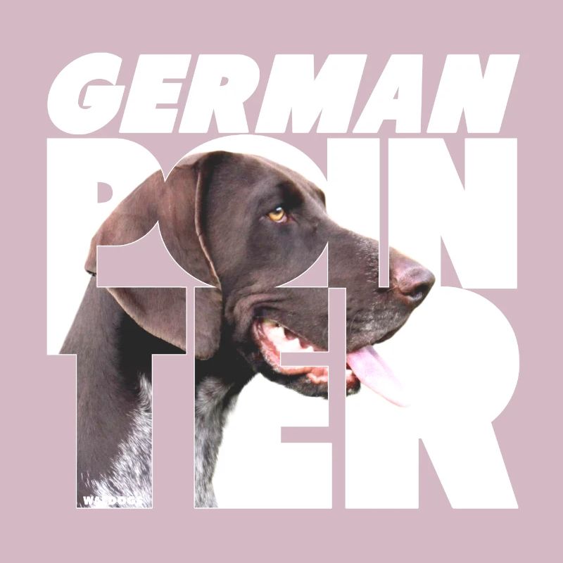 German Pointer VI