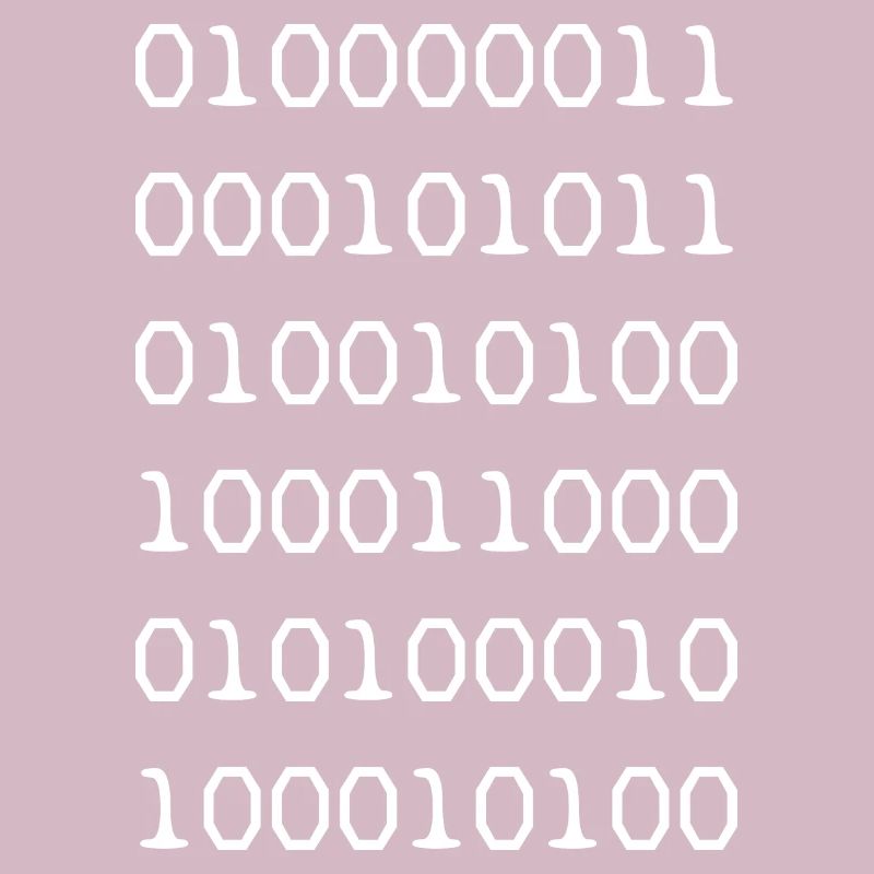 Binary code white web developer humor funny