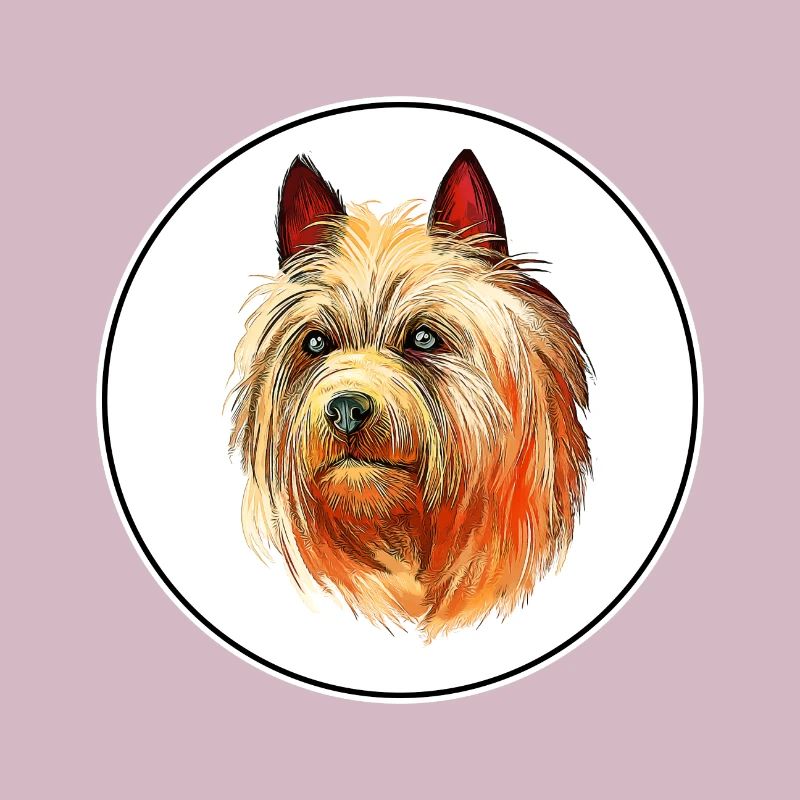 Illustration de l’aquarelle du chien Australian Terrier
