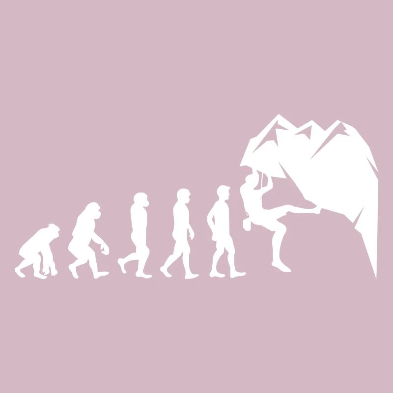 Escalade Bouldering Wall Climber Evolution