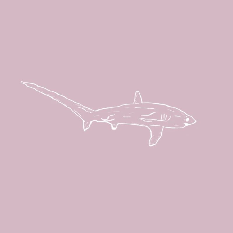 Requin-renard