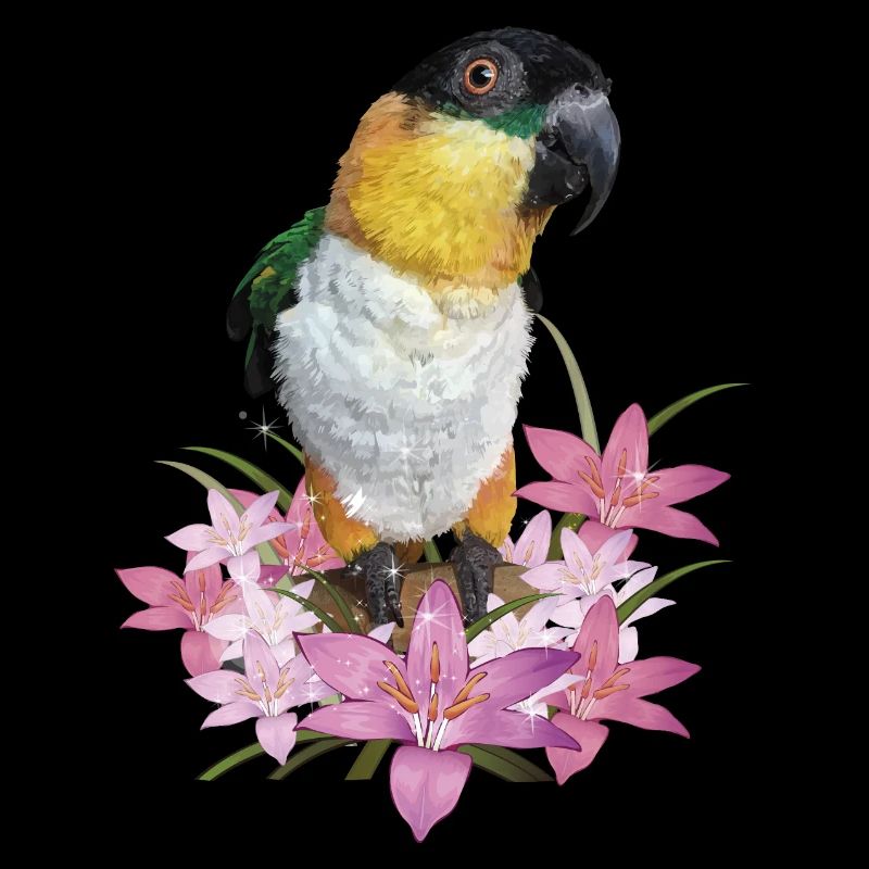 The black-headed caique