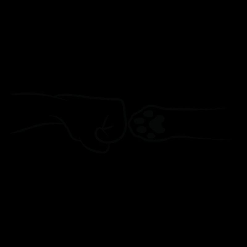 Katzenfauststoß