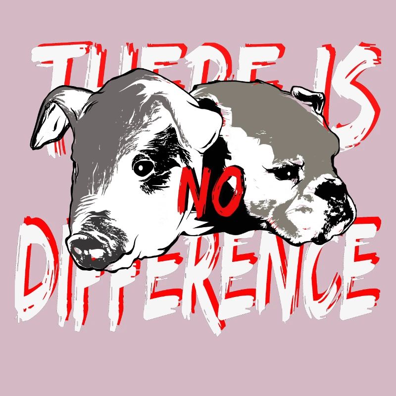 Chien cochon aucune différence