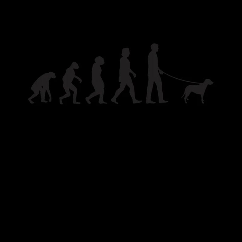 Brandlbracke Evolution Bracke Hund Jagdhund