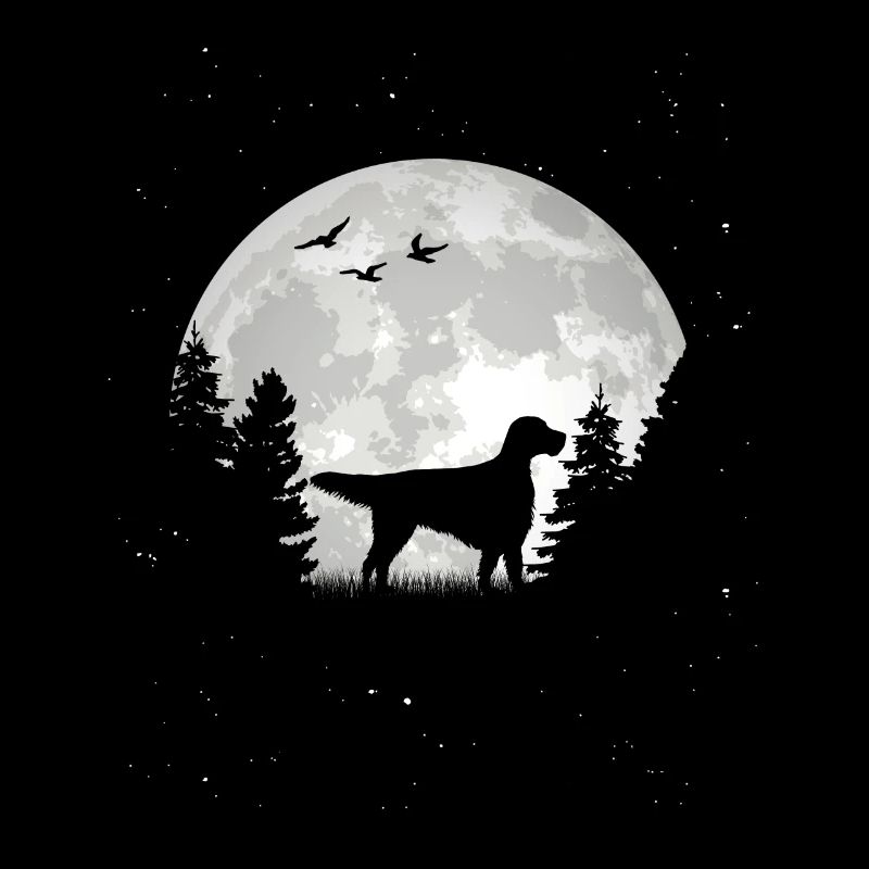 Setter anglais Lune Setter anglais